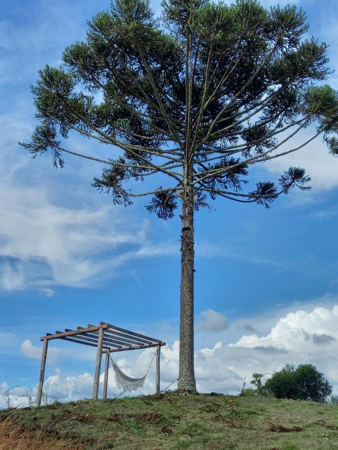 Celeiro Guarapuava, 4 Quartos, Paz E Tranquilidade Exterior foto